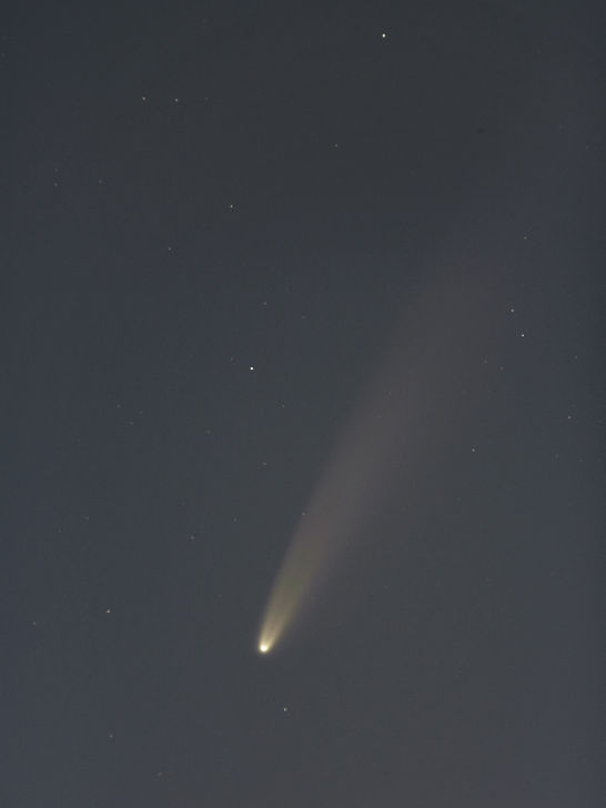 Komet NEOWISE am 12.7.2020, Foto: Thomas Winter